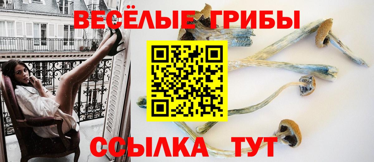 Галлюциногенные грибы ЛСД  Вход с VPN  цены   Бузулук 